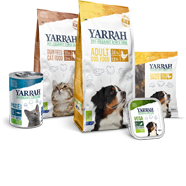 Dog Food