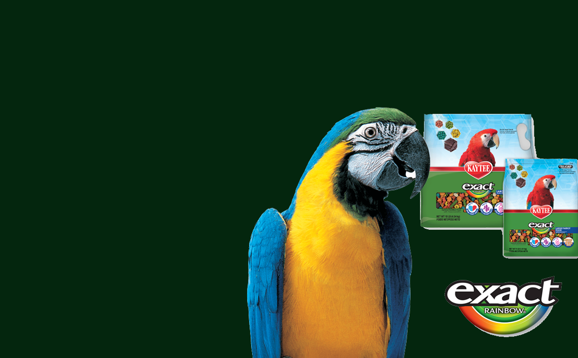 promo-banner-image